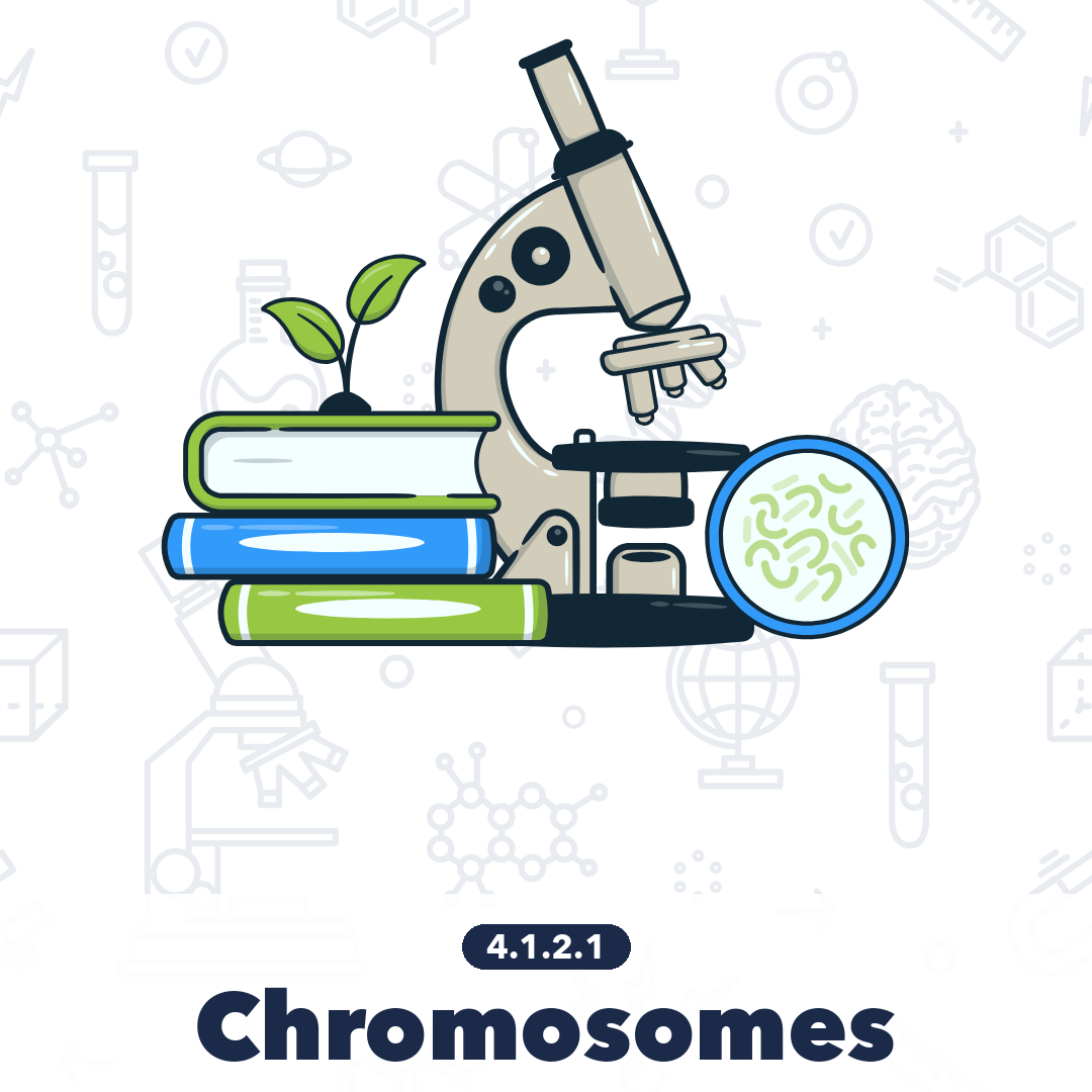 4121 Chromosomes