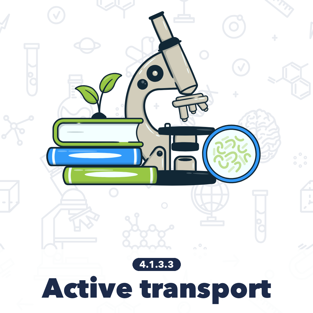 4133 Active Transport