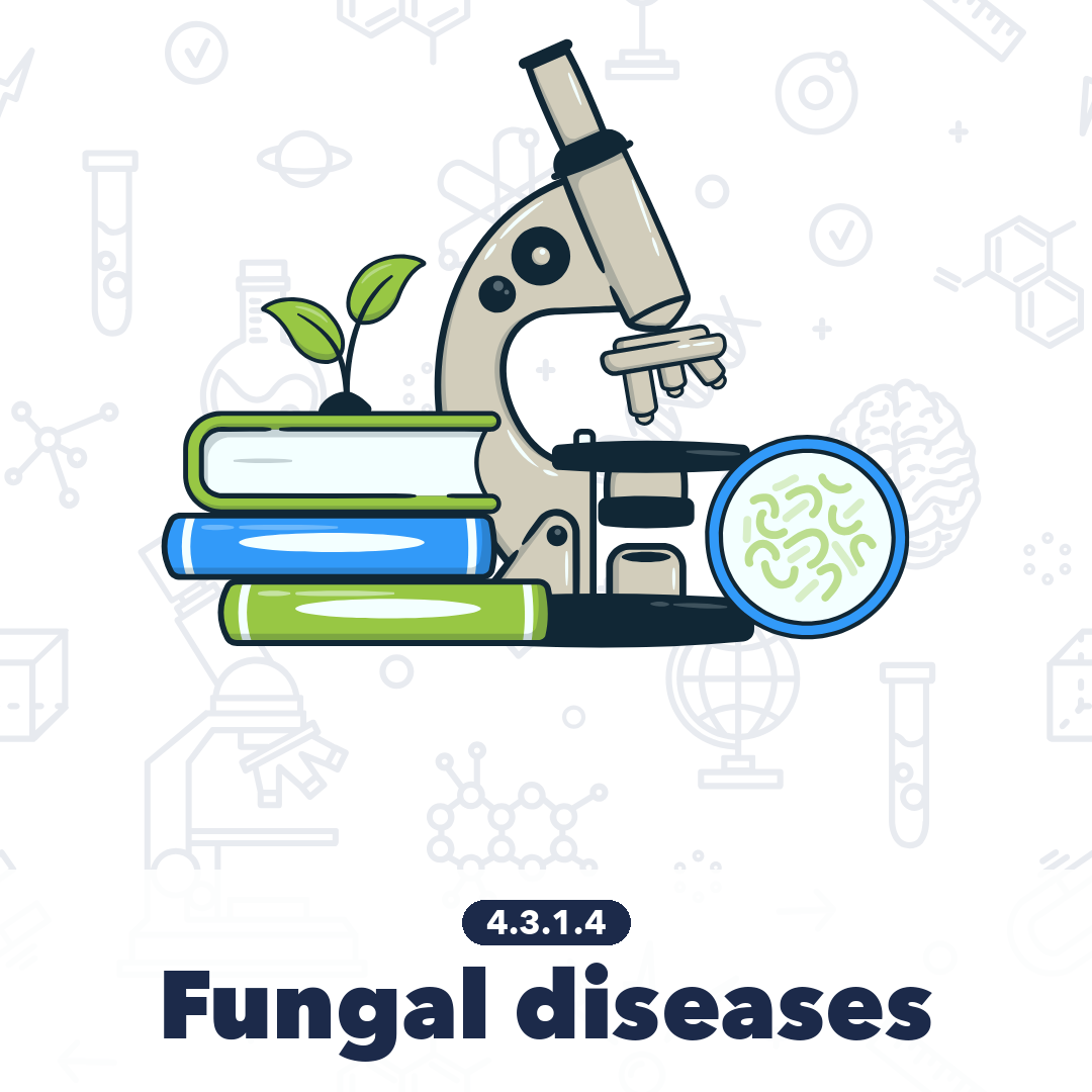 4314 Fungal Diseases