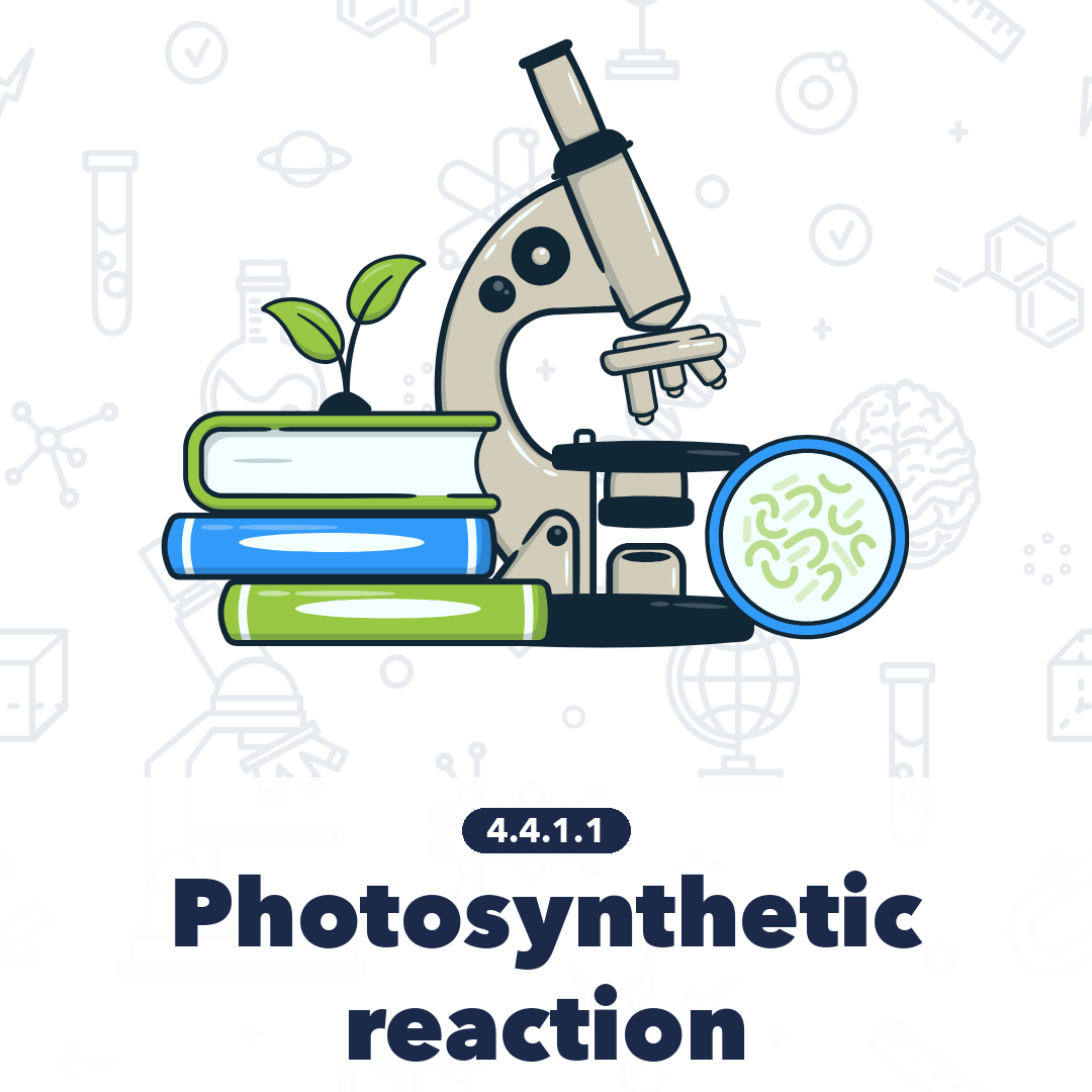4411 Photosynthetic Reaction