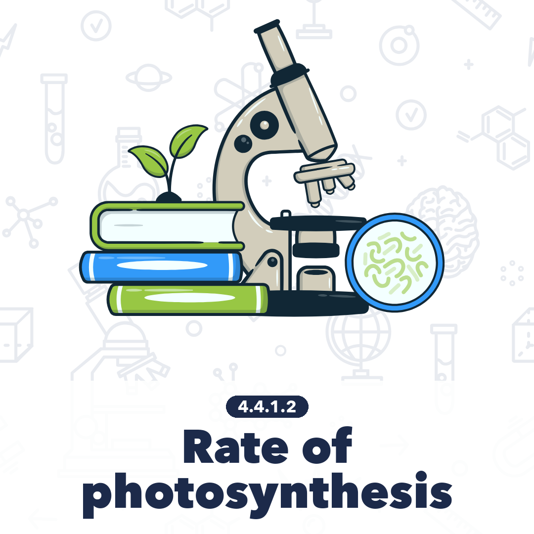 4412 Rate Of Photosynthesis