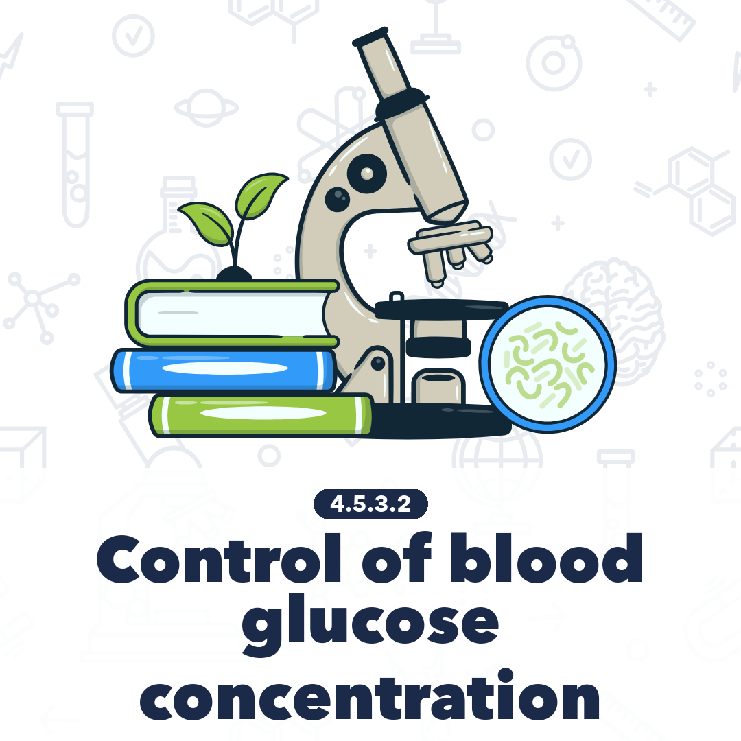 4532 Control Of Blood Glucose Concentration