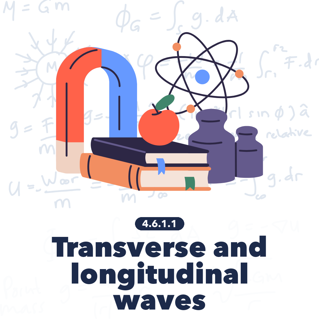 4611 Transverse And Longitudinal Waves