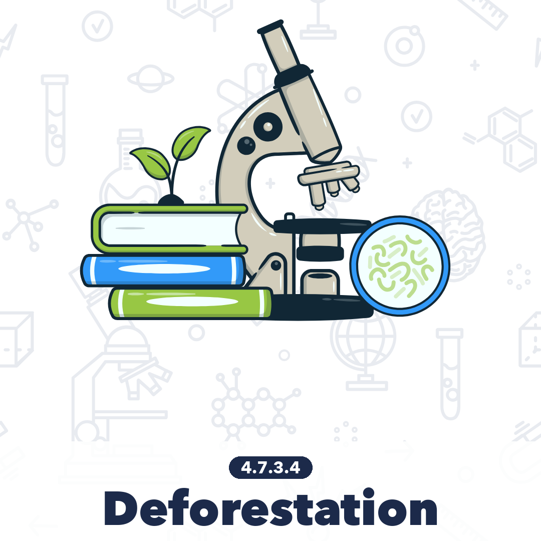 4734 Deforestation
