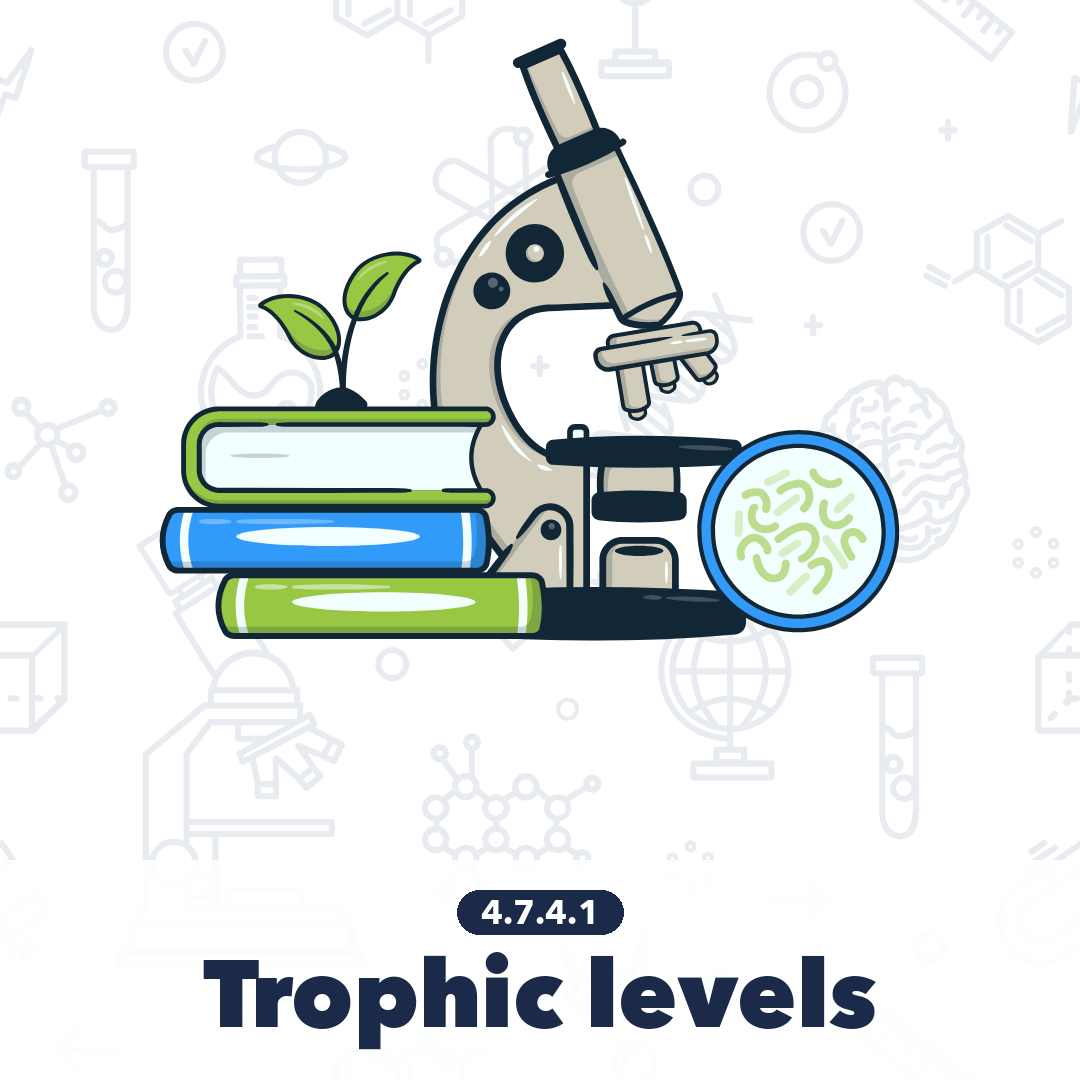 4741 Trophic Levels
