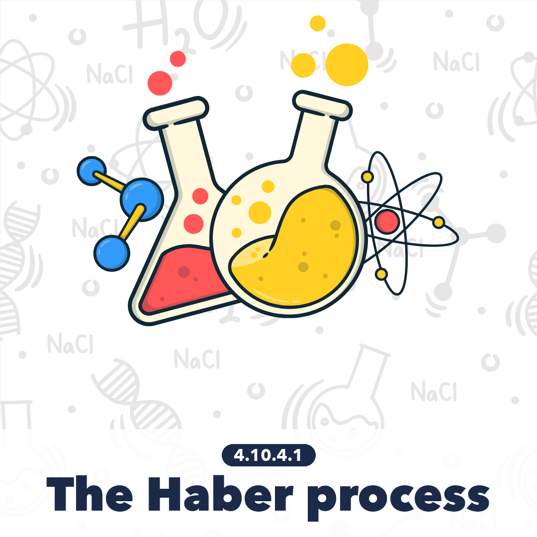 41041 The Haber Process