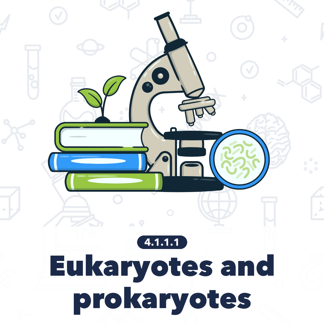 4111 Eukaryotes And Prokaryotes