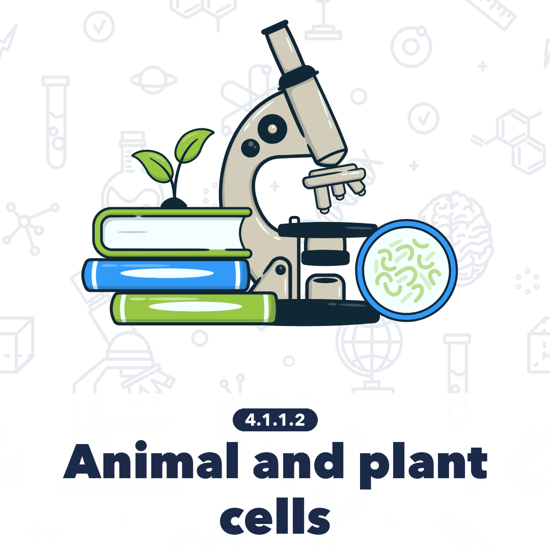 4112 Animal And Plant Cells