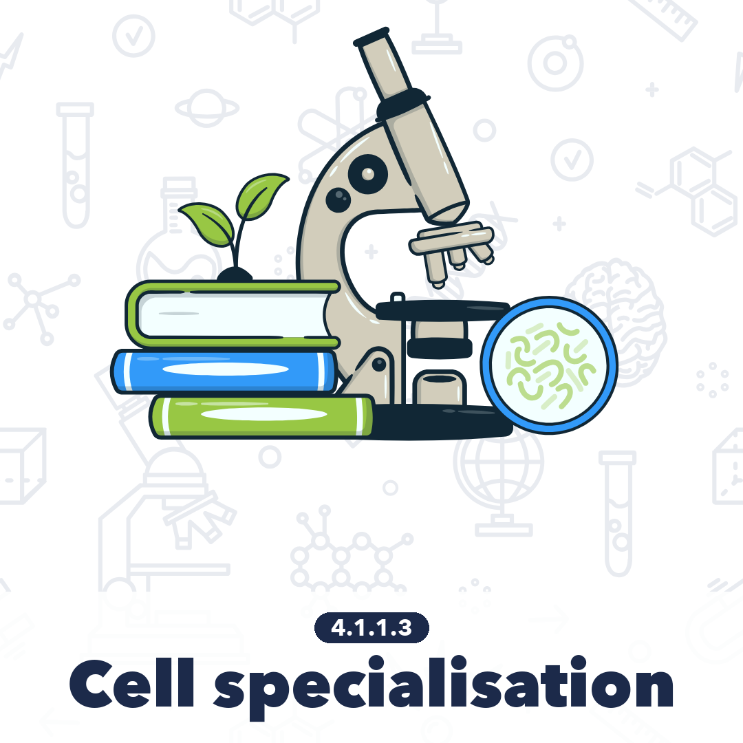 4113 Cell Specialisation