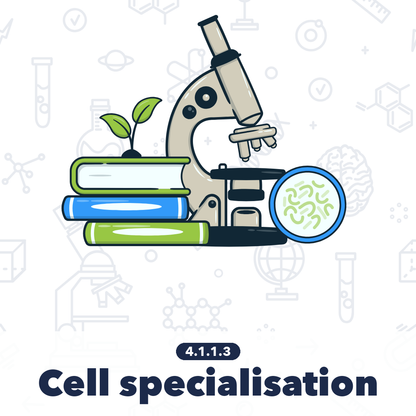 4113 Cell Specialisation