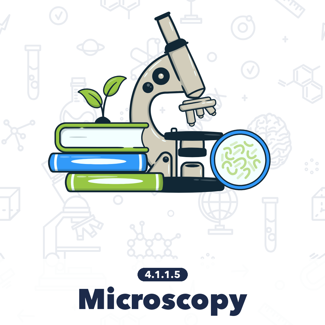 4115 Microscopy