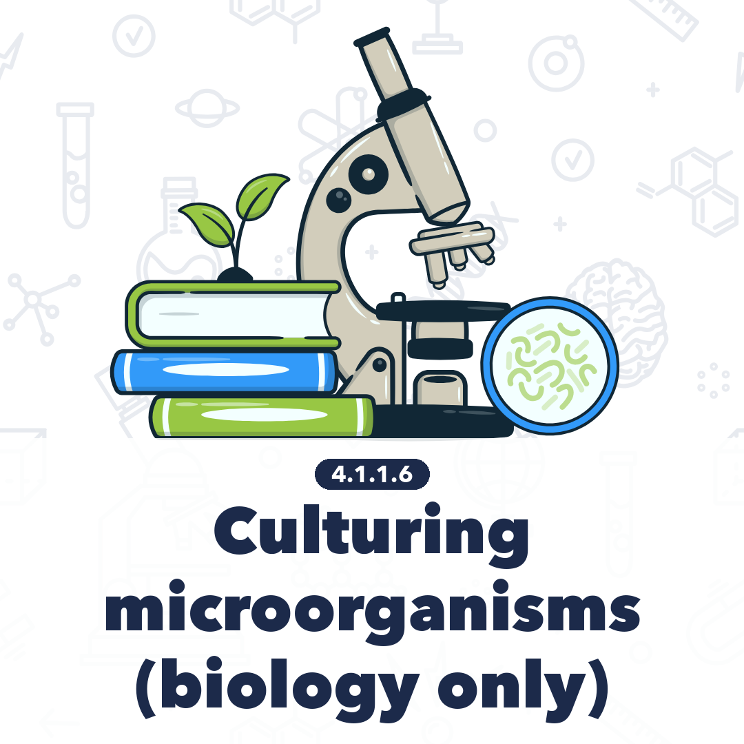 4116 Culturing Microorganisms Biology Only