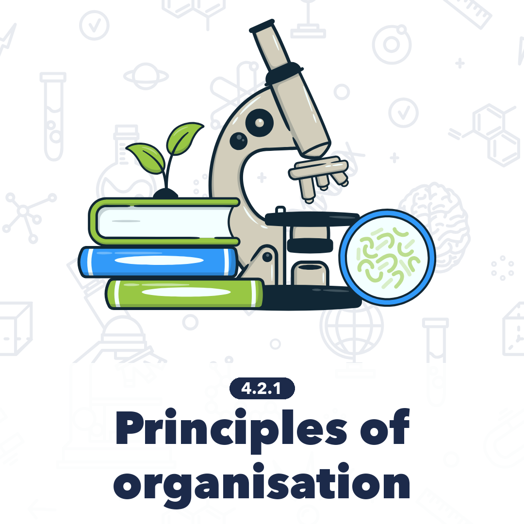 421 Principles Of Organisation