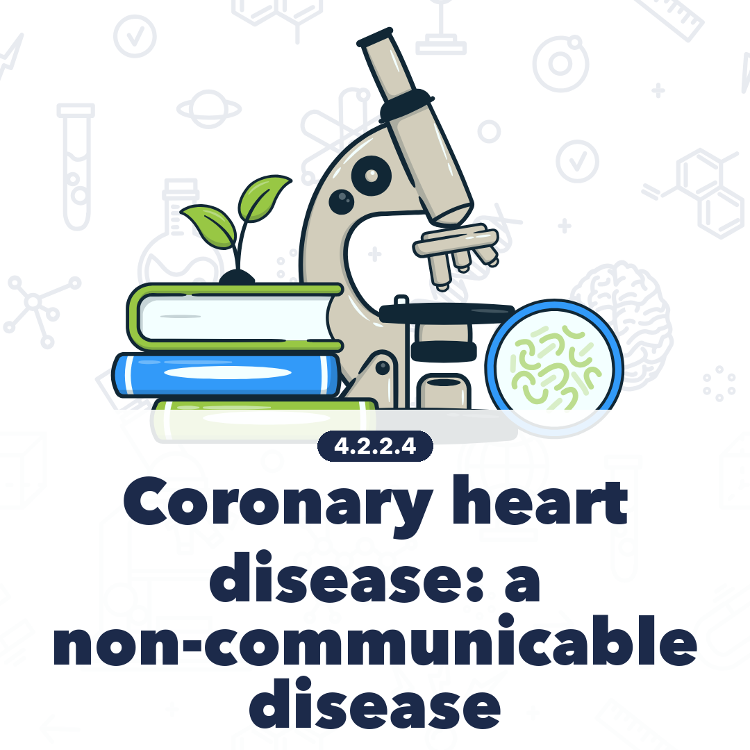 4224 Coronary Heart Disease A Non Communicable Disease