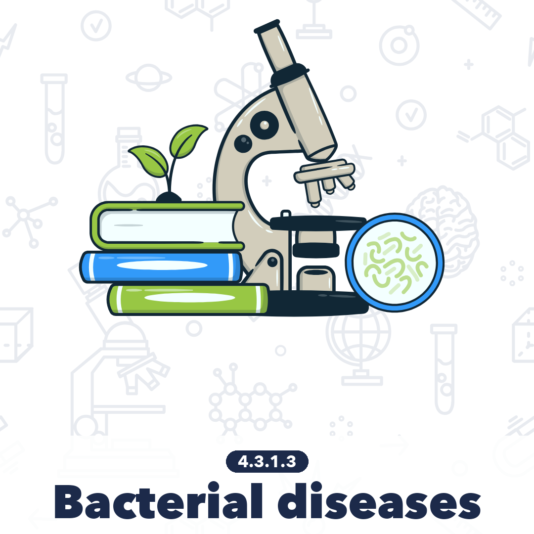 4313 Bacterial Diseases