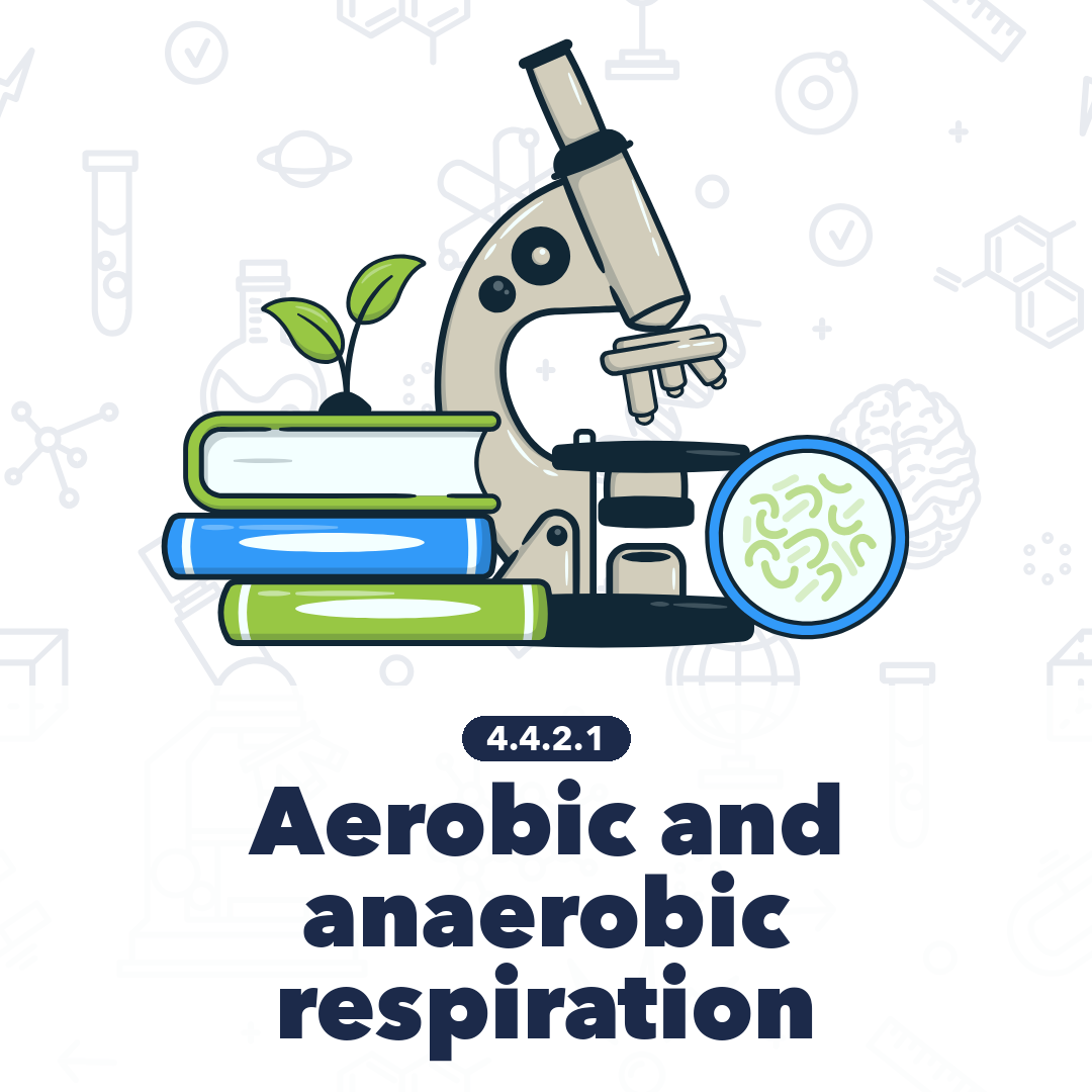 4421 Aerobic And Anaerobic Respiration