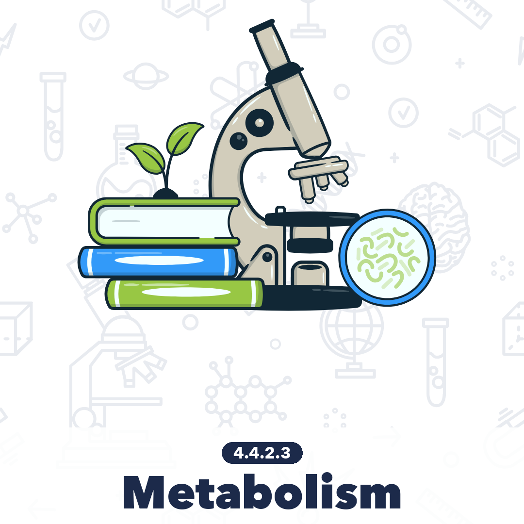 4423 Metabolism