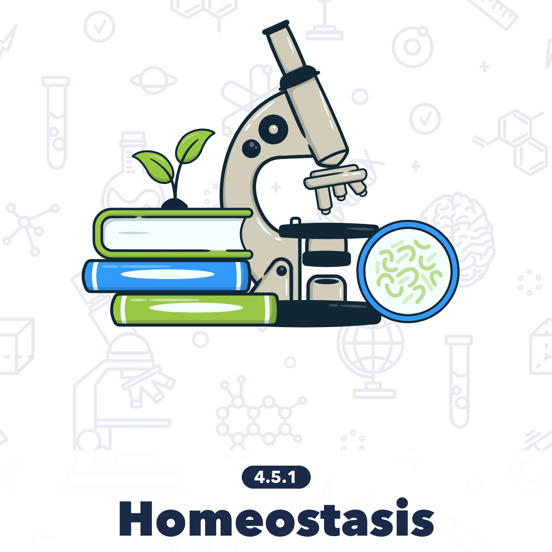 451 Homeostasis