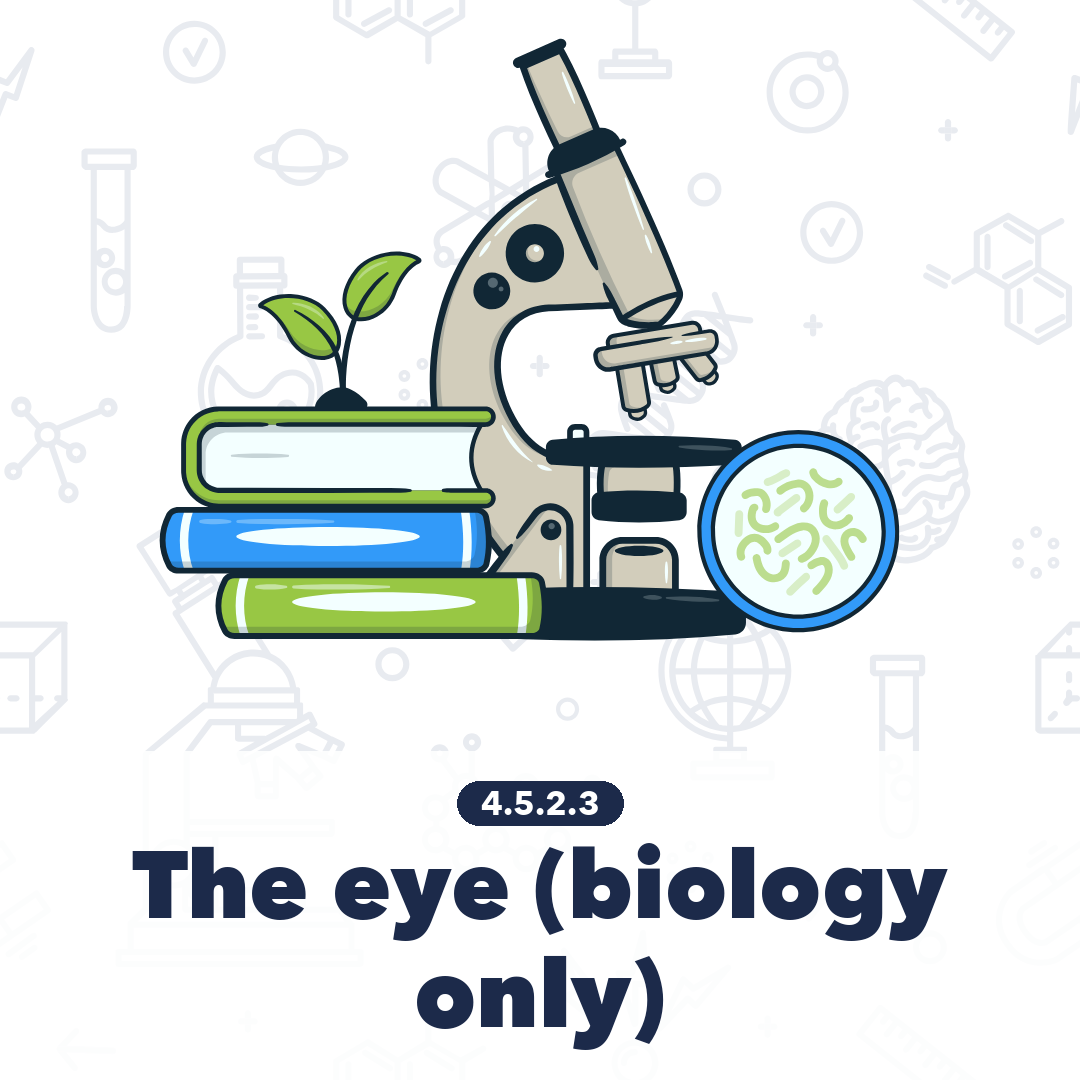4523 The Eye Biology Only