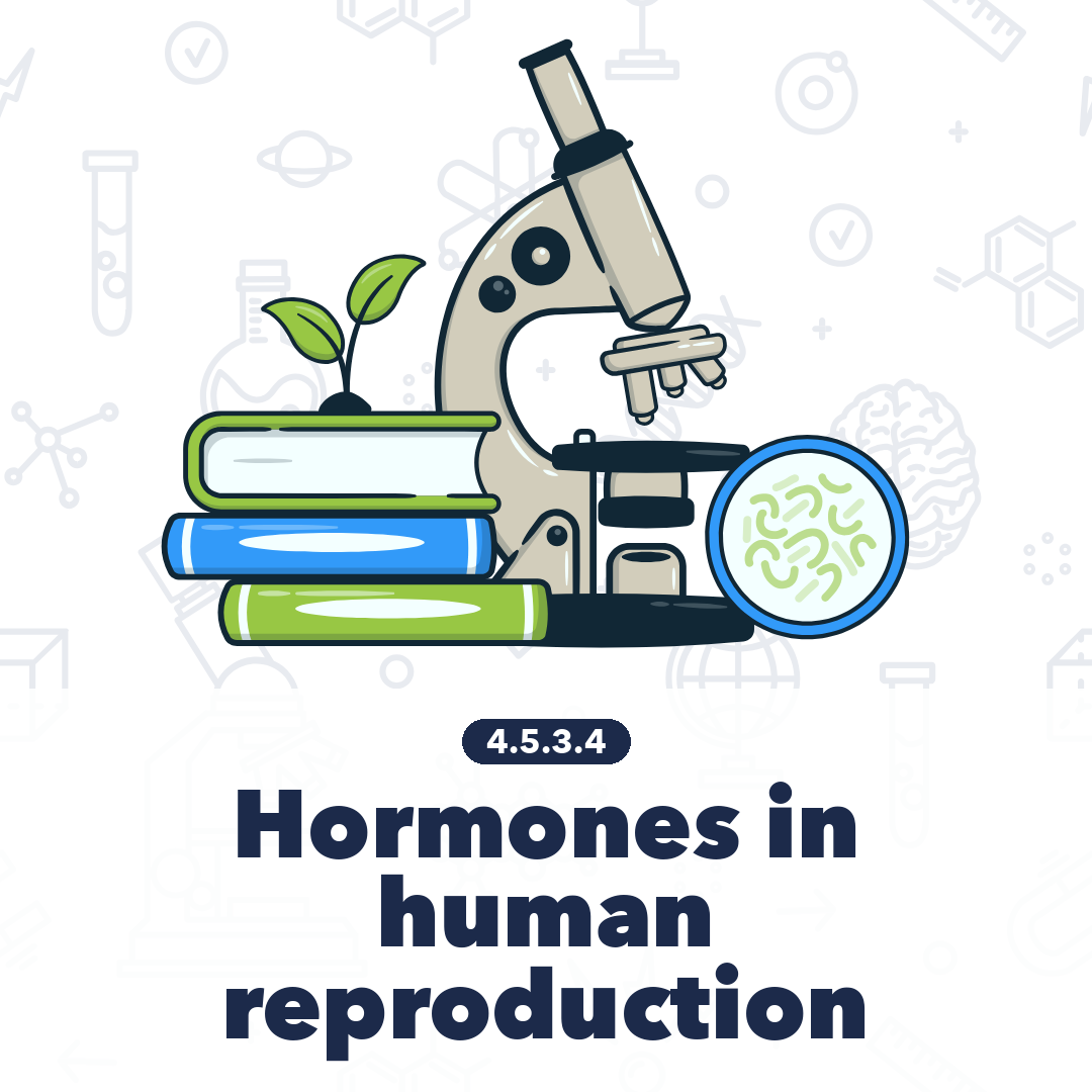 4534 Hormones In Human Reproduction