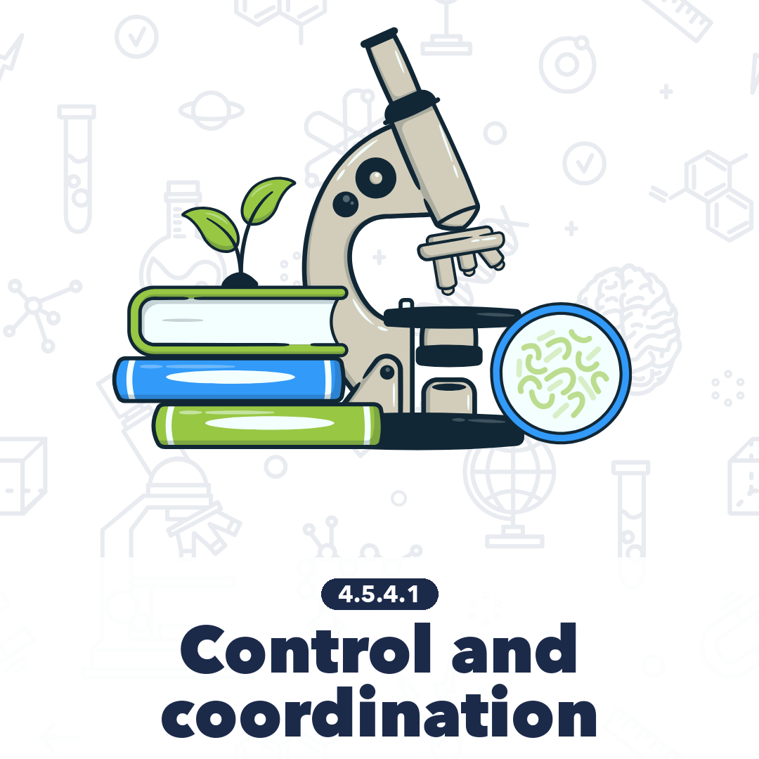 4541 Control And Coordination