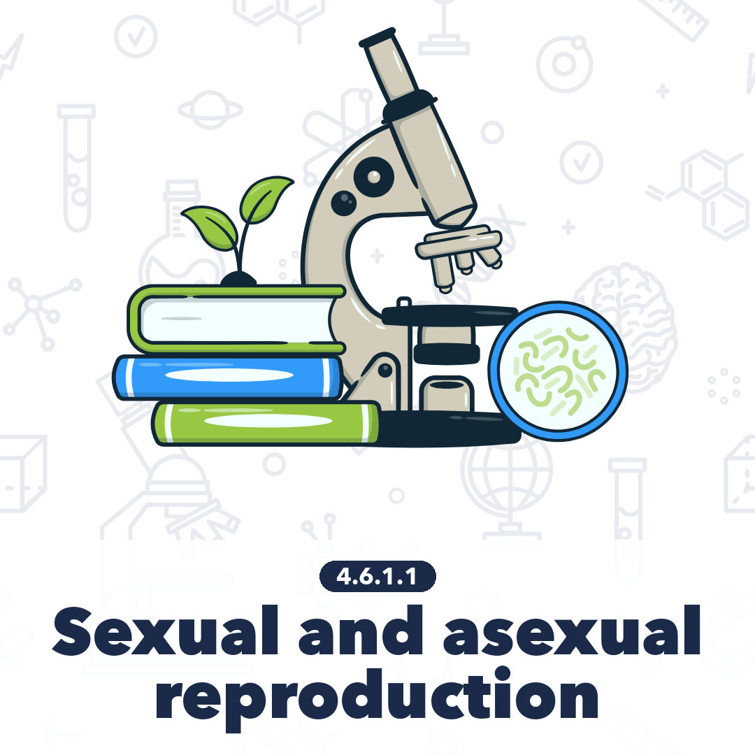 4611 Sexual And Asexual Reproduction