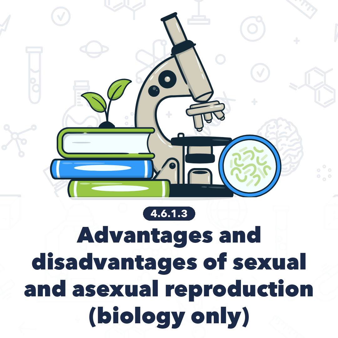 4613 Advantages And Disadvantages Of Sexual And Asexual Reproduction Biology Only
