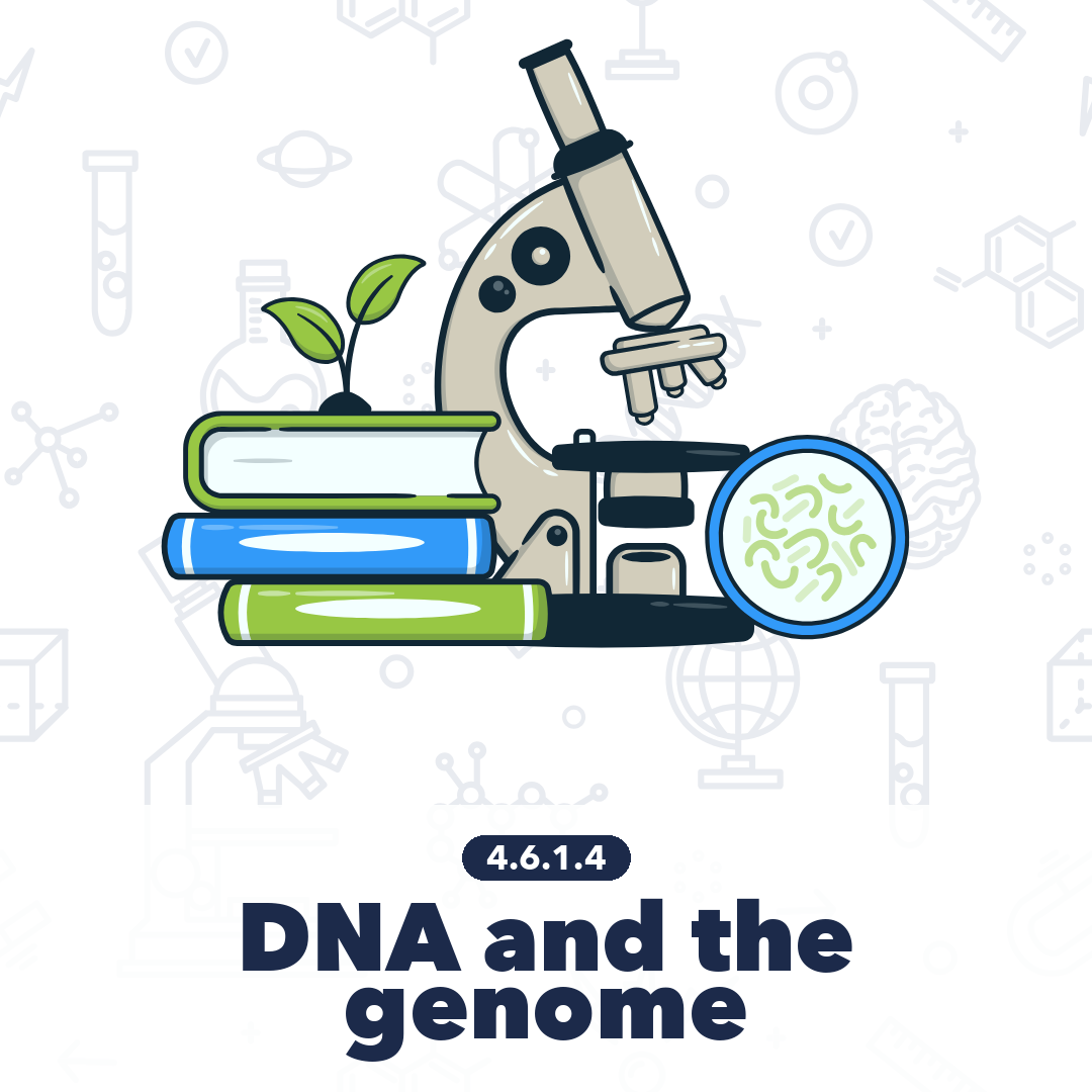 4614 Dna And The Genome