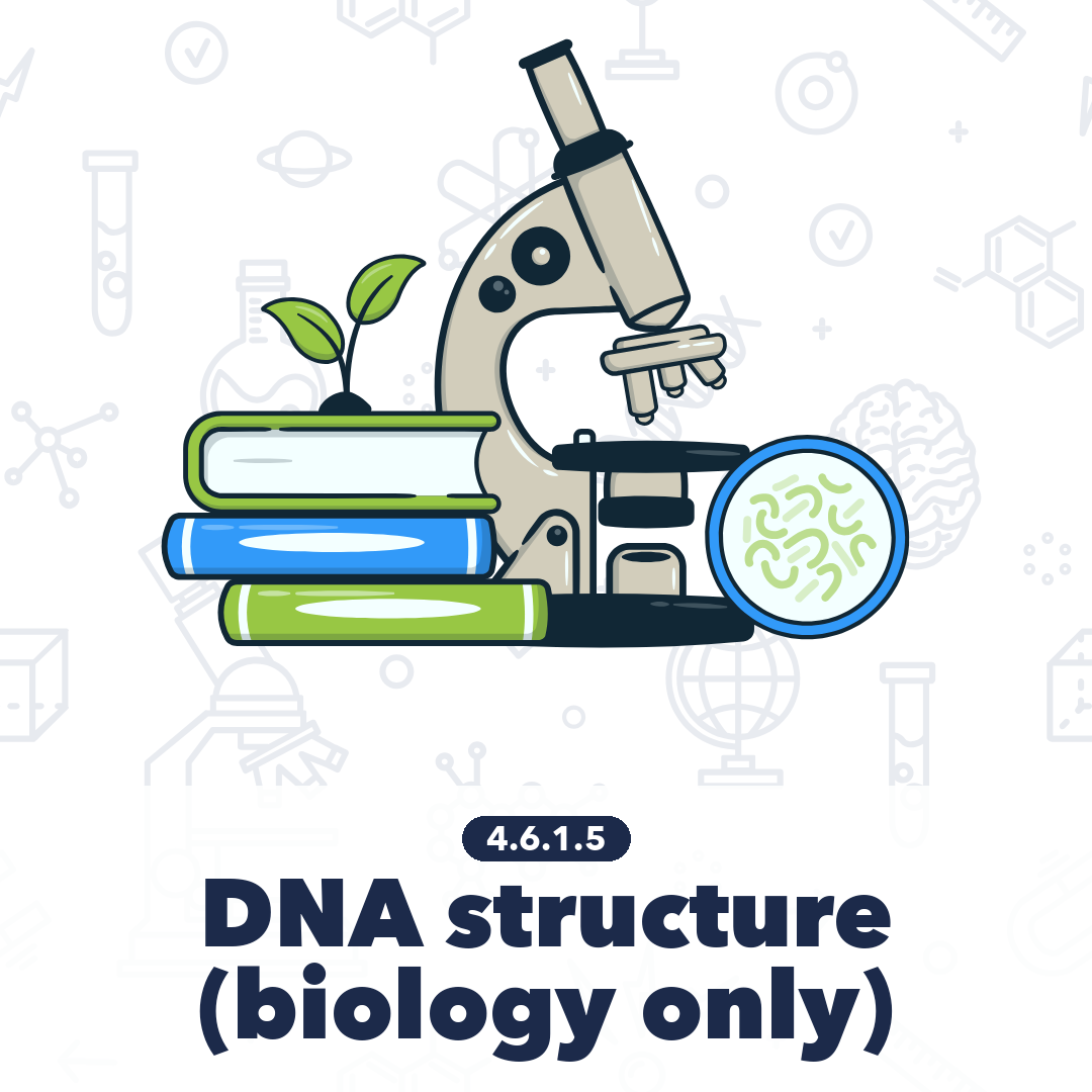 4615 Dna Structure Biology Only