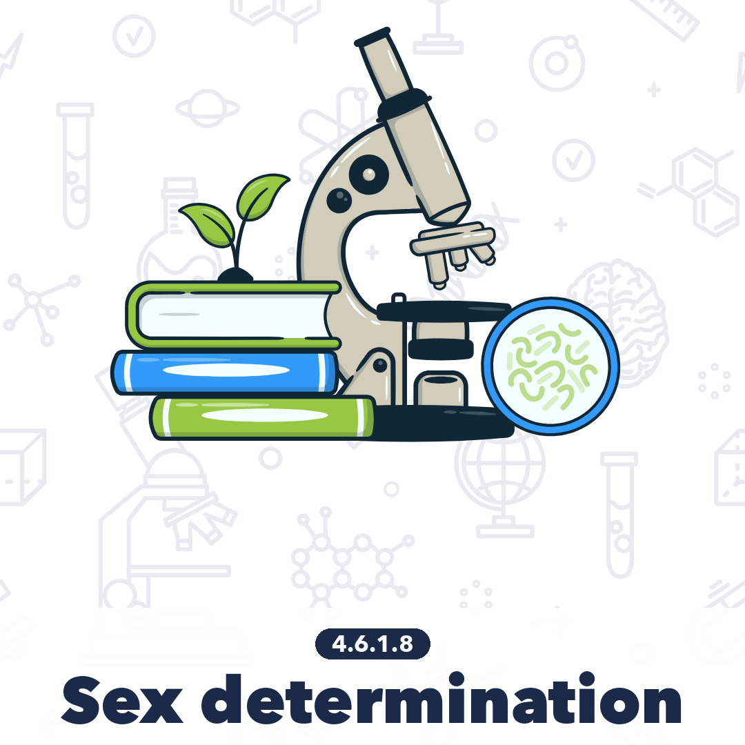4618 Sex Determination