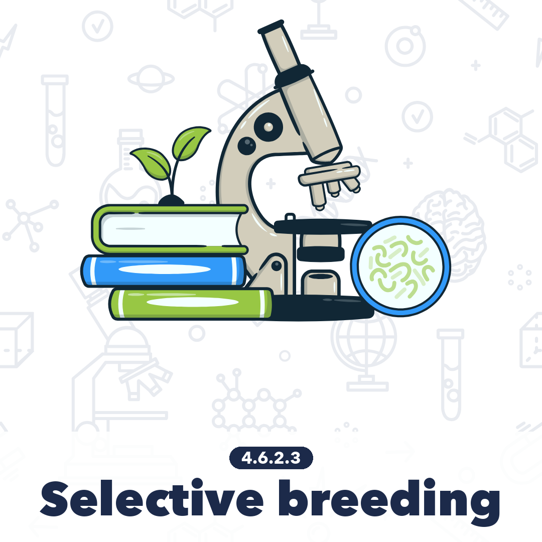 4623 Selective Breeding