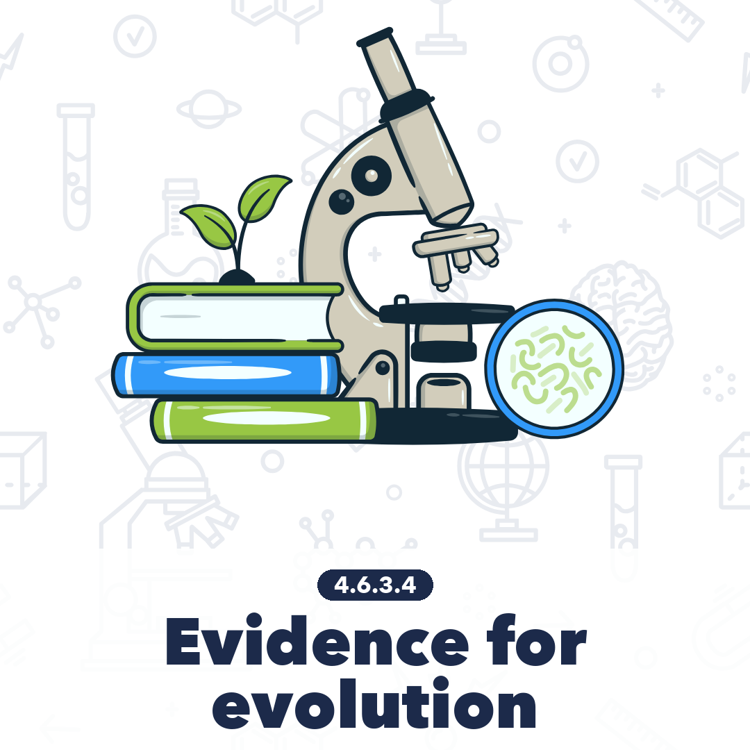 4634 Evidence For Evolution