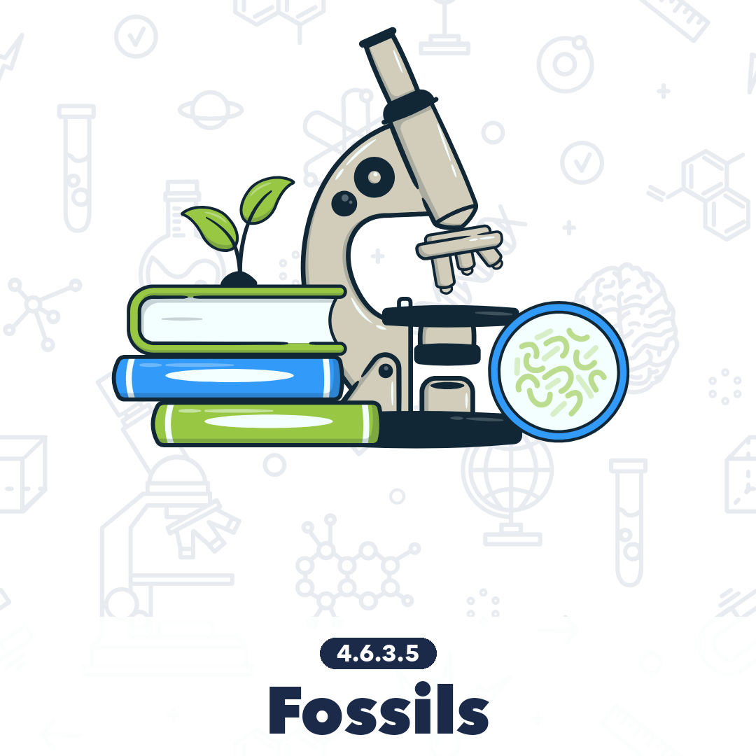 4635 Fossils