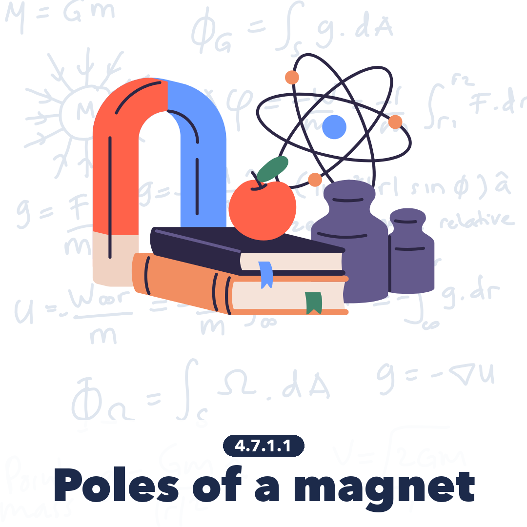 4711 Poles Of A Magnet