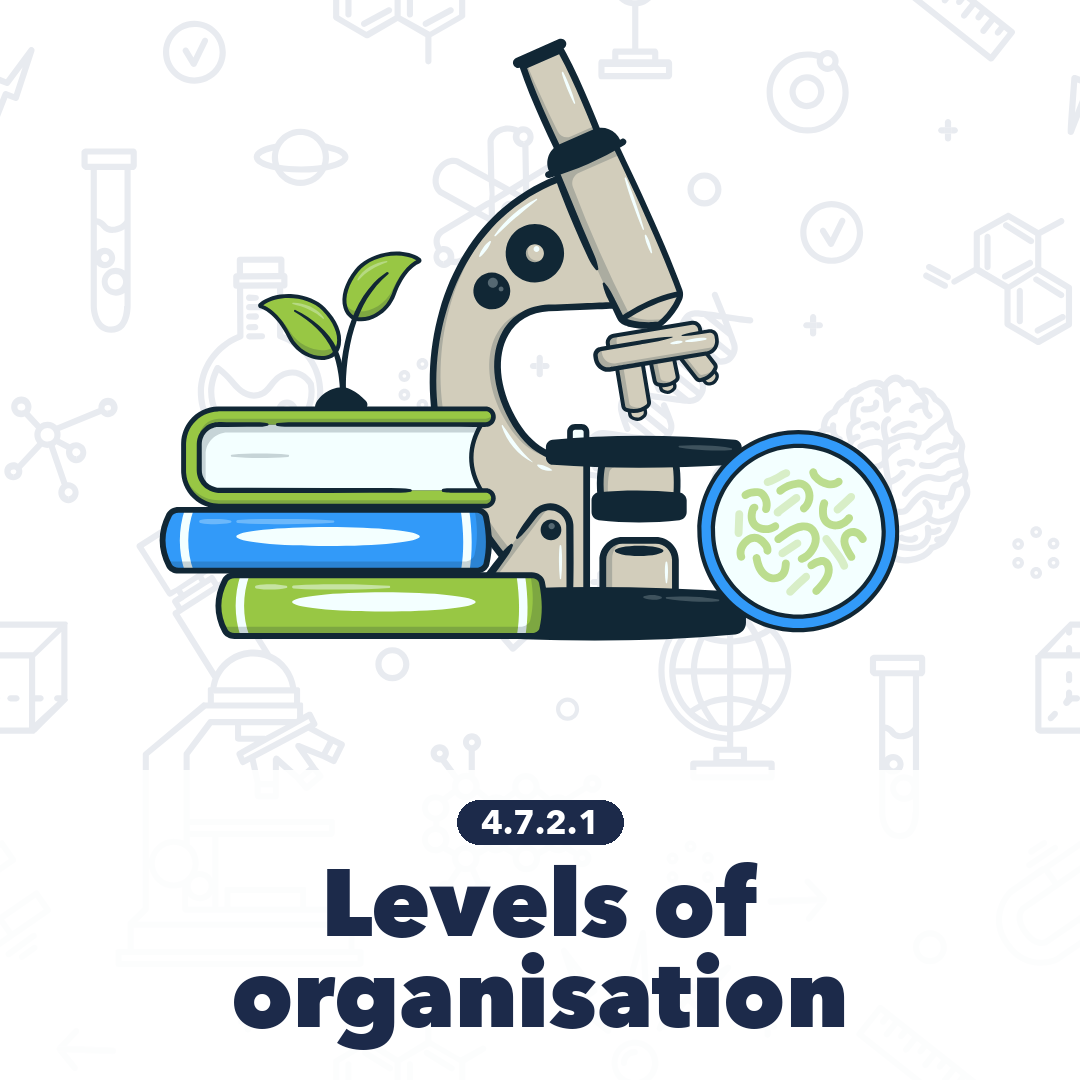 4721 Levels Of Organisation